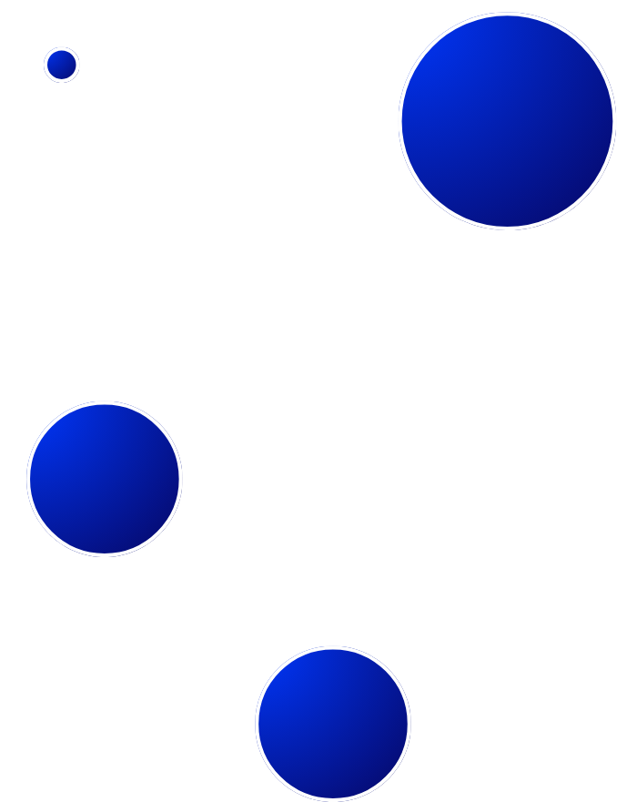 Mobile App Interface